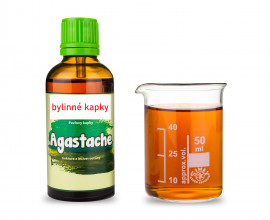 Agastache - bylinné kapky (tinktura) 50 ml