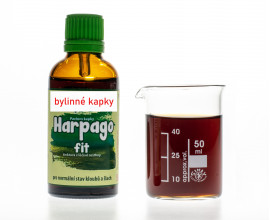 Harpagofyt ležatý kvapky (tinktúra) 50 ml