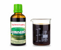 Gymnema (Gurmár) - bylinné kapky (tinktura) 50 ml